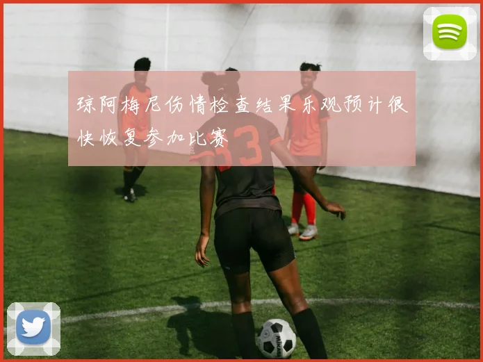 琼阿梅尼伤情检查结果乐观预计很快恢复参加比赛