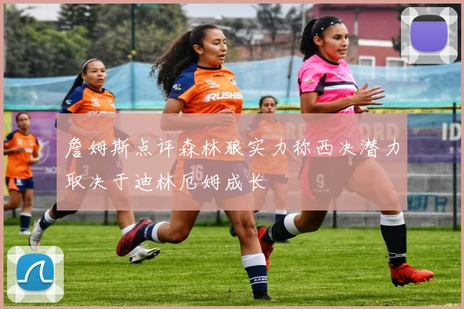詹姆斯点评森林狼实力称西决潜力取决于迪林厄姆成长