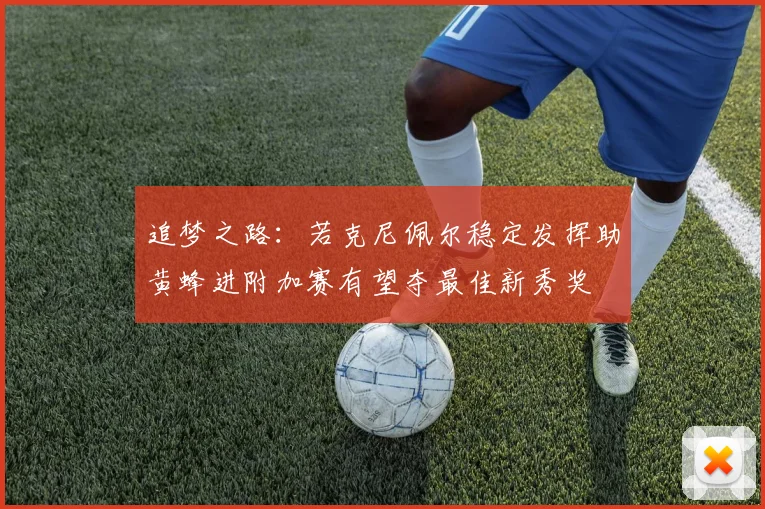 追梦之路：若克尼佩尔稳定发挥助黄蜂进附加赛有望夺最佳新秀奖